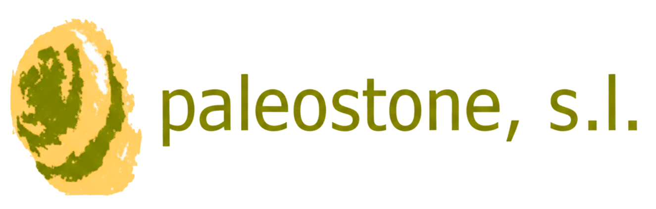 Logo Paleostone v1